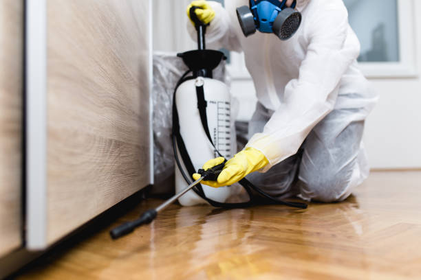 Best Best Pest Control Near Me  in Sandoval, IL