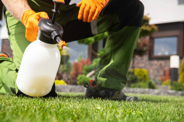 Best Pest Prevention Services  in Sandoval, IL