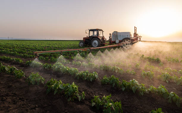 Best Best Pest Control Companies  in Sandoval, IL