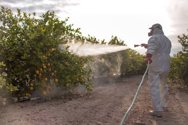 Best Emergency Pest Control  in Sandoval, IL