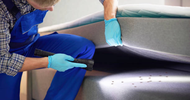 Best Cockroach Control Services  in Sandoval, IL