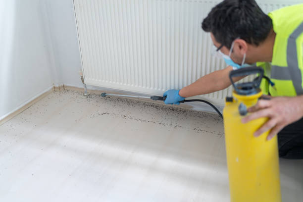Best Mosquito Control Services  in Sandoval, IL